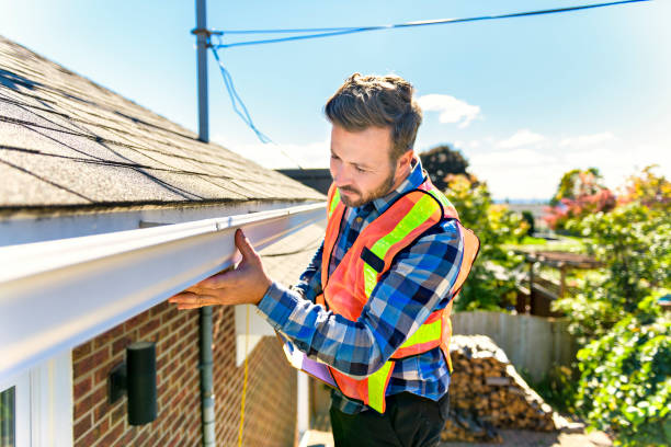 Best Roof Moss and Algae Removal  in Northgate, OH